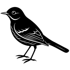 vector illustration of a bird