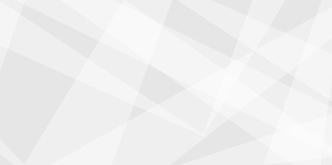 Abstract grey lines on white background with luxury shapes tringle background.Modern pattern elegant gray line template background.