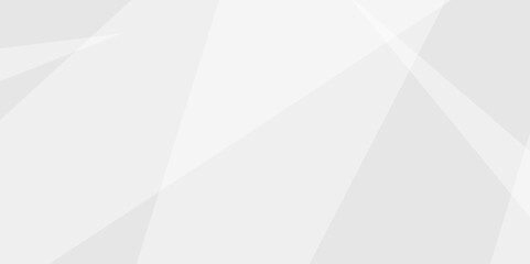 Abstract grey lines on white background with luxury shapes tringle background.Modern pattern elegant gray line template background.