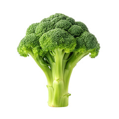 broccoli isolated on white background