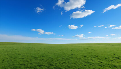 Obraz premium Horizon of Tranquility – Vivid Grassland Under Perfect Clear Sky