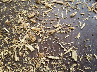 wooden and lumber sawdust on the ground