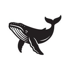 whale vector