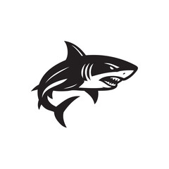 shark vector