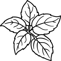 mint leaves outline vector illustration coloring book page line art