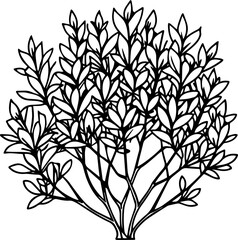  shrub outline vector illustration line art