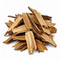 Erythrina Bark Illustration for Herbal Medicine, Erythrina Bark Botanical Art, and Erythrina Bark Natural Remedy Design