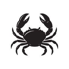 crab vector image