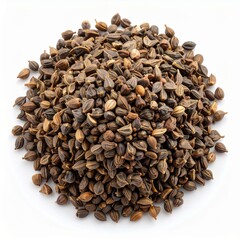 Morning Glory Seed Illustration for Herbal Medicine, Morning Glory Seed Botanical Art, and Morning Glory Seed Natural Remedy Design