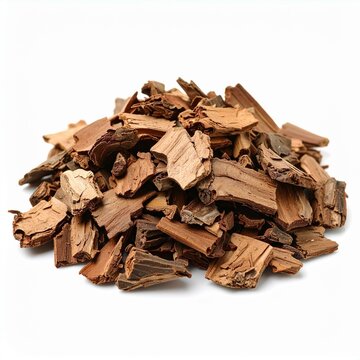 Phellodendron Bark Illustration for Medicinal Use, Phellodendron Bark Botanical Art, and Phellodendron Bark Herbal Design