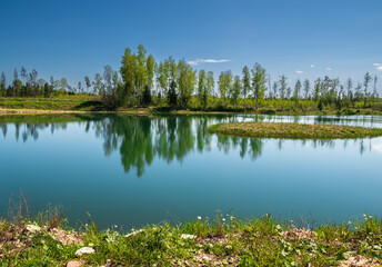 Summer nature landscape  with trees on quiet forest lake .