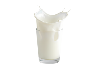 Fresh Milk Splash HighQuality Image Download isolated on transparent background