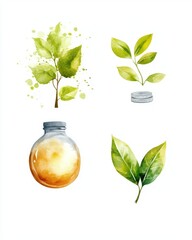 Watercolor Illustrations of Leaves, Bottle, and Natural Elements