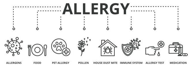 Allergy banner vector illustration concept with icon of allergens, food, pet allergy, pollen, house dust mite, immune system, allergy test and medication 