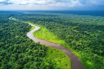 River winding through lush green forest