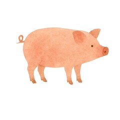 Freehand minimalistic watercolor illustration of a pig isolated on a white background. Hand drawn a child's  watercolour drawing. Farm animal Piglet for design.