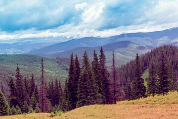 landscape of a Carpathians mountains
