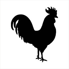 rooster isolated on white background