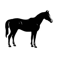 silhouette of a horse