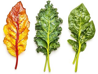 A direct top-down view captures the rich, curly texture of a fresh bunch of kale.