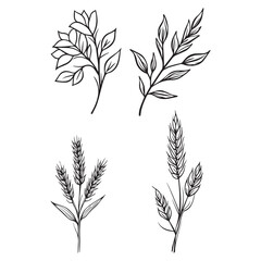 Hand Drawn Botanical Line Art – Floral and Wheat Plant Vector Set