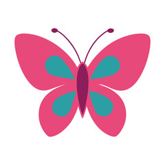 Butterfly Cone Design for Mobile Applications