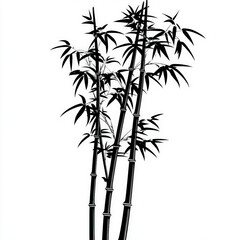 Obraz premium bamboo silhouette , black and white illustration isolated on white background