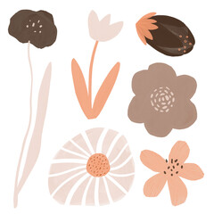 A minimalistic digital illustration of various flowers and leaves in earthy tones, featuring a large flower, smaller blossoms, and delicate foliage.
