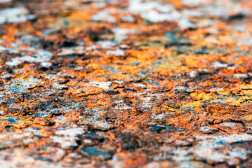 Rusted corroded metal background, high-res image of oxidized steel