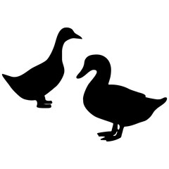 silhouette of a duck looking for food