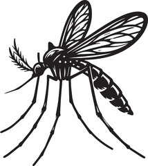 Black and White Illustration of Mosquito Vector – High-Quality Line Art for Scientific Use