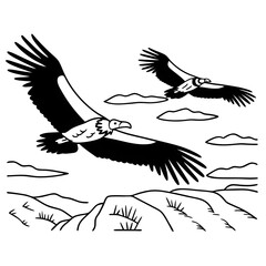 eagle in flight