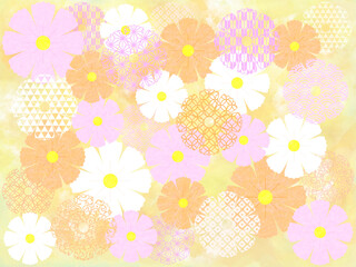 和柄コスモスの背景