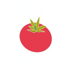 Illustration of tomato