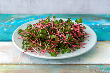 Fresh red radish microgreens on a white plate. Healthy sprout plant ingredient for vegan and vegetarian nutrition food. Top view of edible seedling.