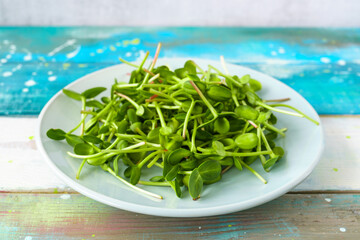 Fresh green sunflower microgreens on a blue plate. Healthy sprout plant ingredient for vegan and vegetarian nutrition food. Top view of edible seedling.