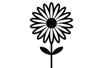 daisy flower vector illustration