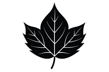 fall leaf vector icon