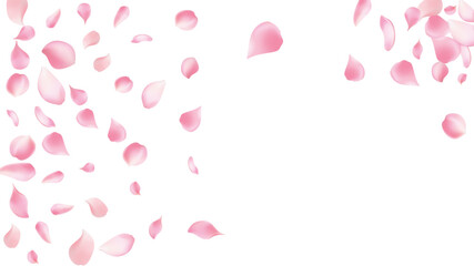 Pink roses or sakura are used for meetings and product launches.