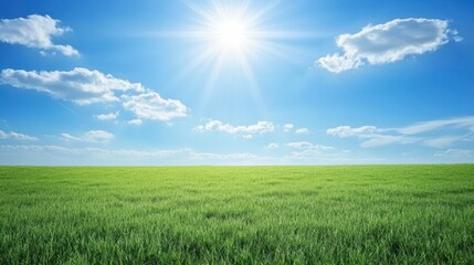 Naklejka premium Sun Hill. Green Grass Field and Blue Sky Landscape with Clouds