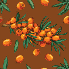 Hand drawn colorful fresh sea ​​buckthorn berries. Vector seamless pattern with sea ​​buckthorn on a branch, leaves and berries. For kitchen design, food packaging, textiles.