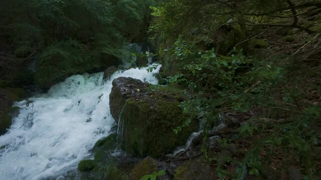 Waterfall among moss and dense vegetation in Badain, Ainsa, Huesca, Aragonese Pyrenees, 4K detailed shot of water flowing in wet forest, high mountain wilderness in springtime
