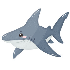 Cute shark cartoon shark species cartoon