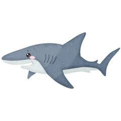 Cute shark cartoon shark species cartoon