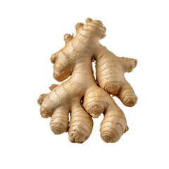Fresh Ginger Root Isolated on White Background