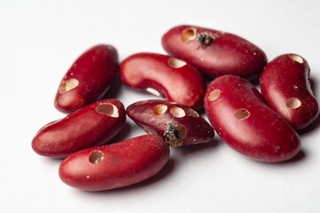 Close-up shows red kidney beans damaged by bean weevils, indicating crop infestation and potential...