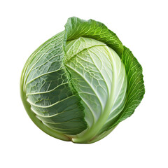 Obraz premium Fresh Green Cabbage Isolated on White Background