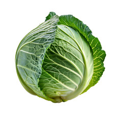Fototapeta premium Fresh Green Cabbage Isolated on White Background