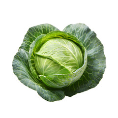 Fresh Green Cabbage Isolated on White Background