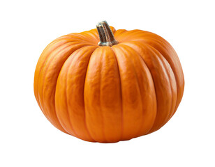 Obraz premium Bright Orange Pumpkin on White Background